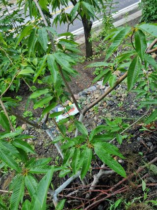 김용대님의 자유주제 · 자유게시판 작성글 사진