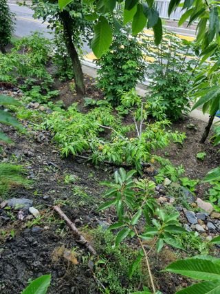 김용대님의 자유주제 · 자유게시판 작성글 사진