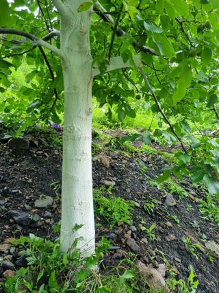 김용대님의 자유주제 · 자유게시판 작성글 사진