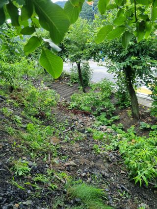 김용대님의 자유주제 · 자유게시판 작성글 사진