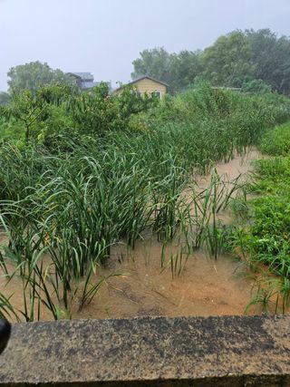 최선희님의 자유주제 · 자유게시판 작성글 사진