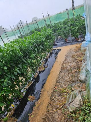 최선희님의 자유주제 · 자유게시판 작성글 사진