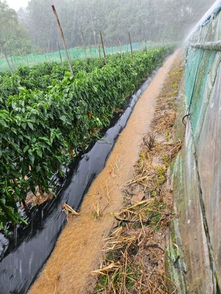 최선희님의 자유주제 · 자유게시판 작성글 사진