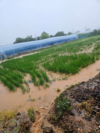 최선희님의 자유주제 · 자유게시판 작성글 사진