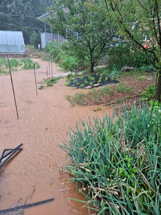 최선희님의 자유주제 · 자유게시판 작성글 사진