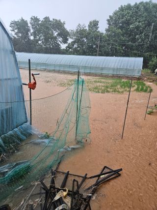 최선희님의 자유주제 · 자유게시판 작성글 사진