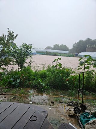 최선희님의 자유주제 · 자유게시판 작성글 사진