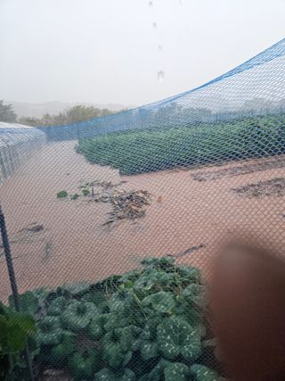 최선희님의 자유주제 · 자유게시판 작성글 사진