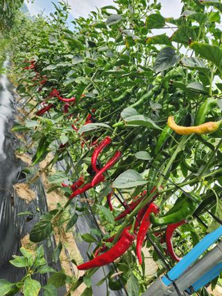 김지윤님의 자유주제 · 자유게시판 작성글 사진