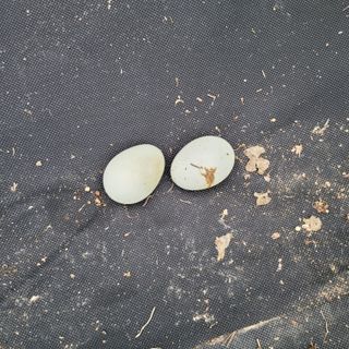 이창화님의 자유주제 · 자유게시판 작성글 사진