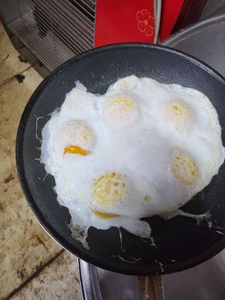 ok 체험학습농원님의 자유주제 · 자유게시판 작성글 사진