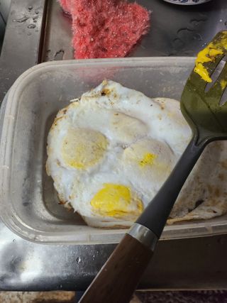 ok 체험학습농원님의 자유주제 · 자유게시판 작성글 사진