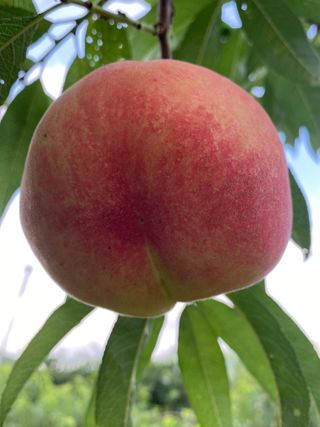 윤희철님의 작성글 사진