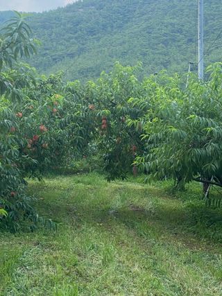 윤희철님의 작성글 사진
