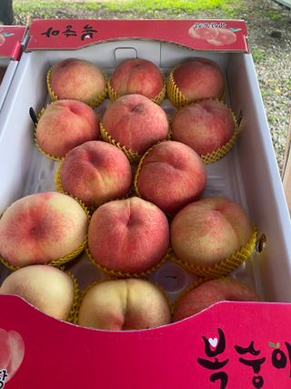 윤희철님의 작성글 사진