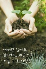 팜모닝 자유주제·자유게시판 게시글 이미지
