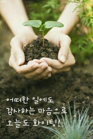 알 수 없음님의 자유주제 · 자유게시판 작성글 사진