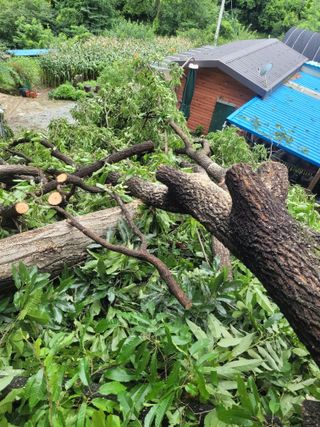 박완규님의 자유주제 · 자유게시판 작성글 사진