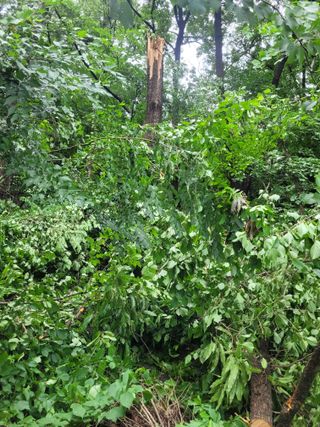 박완규님의 자유주제 · 자유게시판 작성글 사진