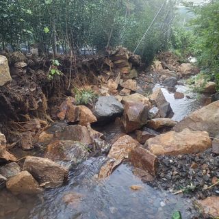 박완규님의 자유주제 · 자유게시판 작성글 사진