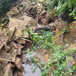 박완규님의 자유주제 · 자유게시판 작성글 사진