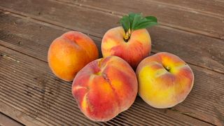 종합선물세트님의 자유주제 · 자유게시판 작성글 사진