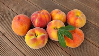 종합선물세트님의 자유주제 · 자유게시판 작성글 사진