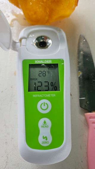 종합선물세트님의 자유주제 · 자유게시판 작성글 사진