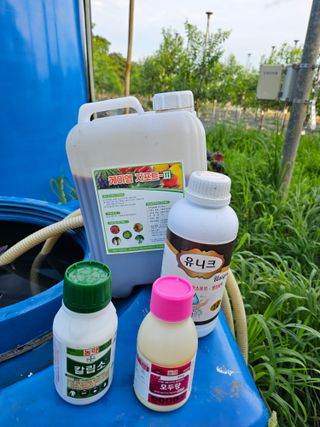 망운천지향토농원님의 자유주제 · 자유게시판 작성글 사진