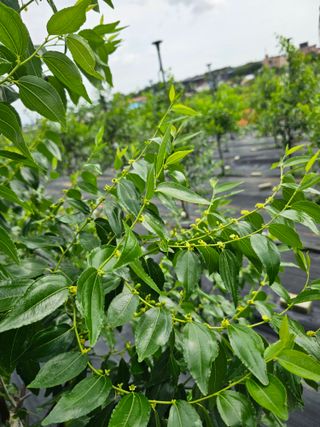 망운천지향토농원님의 자유주제 · 자유게시판 작성글 사진