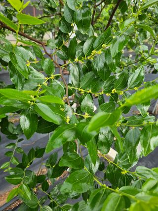 망운천지향토농원님의 자유주제 · 자유게시판 작성글 사진