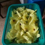 팜모닝 자유주제·자유게시판 게시글 이미지