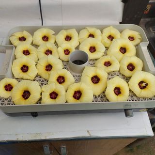 왕명배님의 자유주제 · 자유게시판 작성글 사진