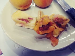 이응혁님의 복숭아 · 병해충상담 작성글 사진