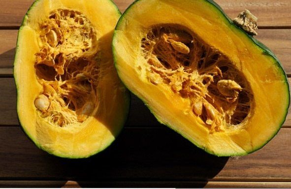 김태환님의 장터 판매 상품 [제주 미니 밤호박(보우짱)] 첨부 사진