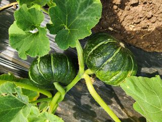 김태환님의 작성글 사진