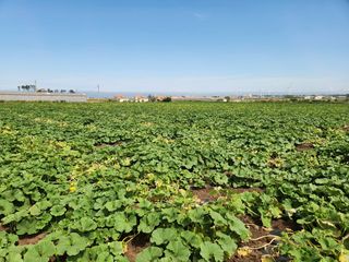 김태환님의 작성글 사진