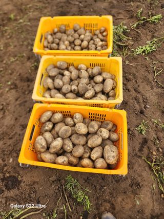 김태환님의 작성글 사진