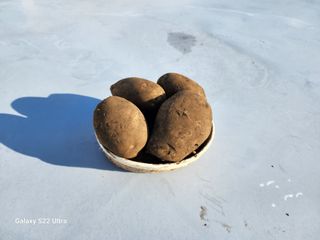 김태환님의 작성글 사진