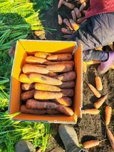 팜모닝 · 게시글 이미지