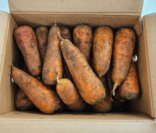 김태환님의 작성글 사진