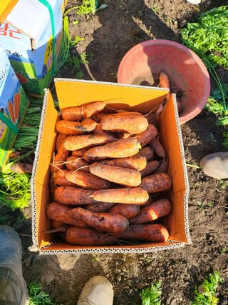 김태환님의 작성글 사진