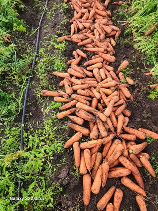 김태환님의 작성글 사진