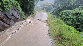 (힐링따오기쉼터)님의 기타작물 · 영농일지 작성글 사진