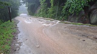 (힐링따오기쉼터)님의 기타작물 · 영농일지 작성글 사진