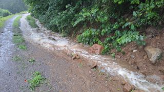 (힐링따오기쉼터)님의 기타작물 · 영농일지 작성글 사진