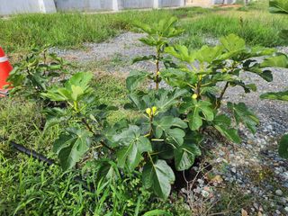 다야님의 자유주제 · 자유게시판 작성글 사진