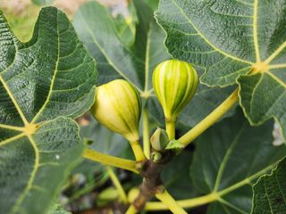 다야님의 자유주제 · 자유게시판 작성글 사진