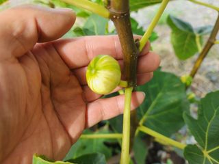 다야님의 자유주제 · 자유게시판 작성글 사진