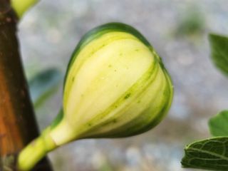 다야님의 자유주제 · 자유게시판 작성글 사진